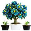 LREUHGFN Rosa del deserto bonsai Per fioriere,eleganti,Adenium obesum vera,Capolavori in vaso di premium a rapida crescita brillante,Bellezza Ambiente,garden stakes.-1unità-D