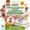 GREEN GUARDIA Trappola per coleotteri di pancetta con speciale panno - 6 trappole per coleotteri - ecologiche per combattere gli scarabei di pancetta - trappola senza sostanze chimiche con forte