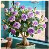 LREUHGFN Rosa del deserto bonsai Per fioriere eleganti,Capolavori in vaso di premium garden stakes a rapida crescita brillante,Bellezza Ambiente,adenium obesum vera.-1unità-H