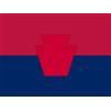 magFlags Bandiera Large U.S. Army 10th Mountain Division | United States