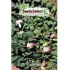 MN SRL Semi Cappero Siciliano 2 Buste