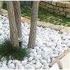 DIELLESHOPPING CIOTTOLI di Marmo Ultra Bianchi 20 kg Sassi Giardino -Varie Misure (25/40)