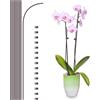 Etnorsu 10 picchetti di supporto per piante con 15 clip per piante, bastoncini per piante da interno ed esterno, clip e picchetti per orchidee, 40,6 cm di altezza, pieghevoli, a stelo singolo, colore marrone,