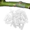 Generic 50 Manicotti per innesto in Silicone per Alberi da frutto, Tubi da innesto ad Alta Elasticità a Parete Sottile, rapido delle Piante, Strumenti da Giardinaggio, per Alberi da frutto, Viti, Rose