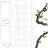 Teksome Clip per innesto di piante, 50 pezzi, strumento di fissaggio per tubi da arrampicata, connettori per paletti da giardino, traliccio per piante da balcone, giardino, tetto, orto