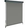 paramondo Tenda da Sole Verticale a Rullo per Esterno 2000 Protezione Solare per Balcone con Cassonetto e Manovella, 120 x 250 cm, Grigio, Struttura Antracite