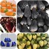 Generic semi di fragola appesi - fragola - resistenti all'esterno fragole rampicanti fragole, varietà antiche, 125pcs
