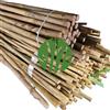 Generico Set di 10 Tutori in Bambù Naturale - Pali per Pomodori, Sostegni per Piante da Interno ed Esterno - Bastoni per Orto e Giardinaggio - Lunghezze da 120 a 240 cm (H cm 150 X Ø mm 14-16)