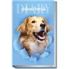 colorosa Diario 12 mesi per la scuola - Agenda dimensioni 14,2x20 cm, copertina morbida - Colour Break (Cane - Golden Retriever)