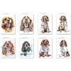 Generic All Occasions Cards - 8 biglietti di auguri con 8 buste, formato A6, 105 x 148 mm, 10,4 x 14,7 cm, motivo: spaniel inglese Cocker Dog Doctor Spaniel Cocker English Cocker Dog Dentist