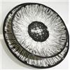 Generico Servizio Piatti 18 Pezzi in Gress Porcellana Colorata - Elegante, Lavabile in Lavastoviglie - Stile Moderno per 6 Persone modello corolla (nero)