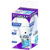EcoMan LED crepuscolare s. 10W 6000K