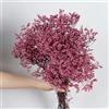 EboLD Eternal Life, bouquet di fiori di cristallo essiccati naturali per sempre, decorazione per la casa, festa di nozze, E-90-100 g