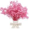 CoolCrafts Fiori Secchi di Gipsofila Rosa Naturale Gypsophila Essiccata per Decorazioni Casa, Matrimoni, Bouquet e Progetti Creativi