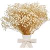 CoolCrafts Fiori Secchi di Gipsofila Bianca Naturale Gypsophila Essiccata per Decorazioni Casa, Matrimoni, Bouquet e Progetti Creativi