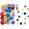 Ulalaza 36pz Fiori secchi pressati Foglie Candele di colore fai-da-te naturali reali Ciondoli di gioielli in resina decorativa artistico Cassa del telefono per unghie Trucco facciale