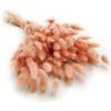 Enchanted Dekogras - Erba secca ornamentale a coda di coniglio, Lagurus Ovatus, erba di velluto, coniglio, fiori secchi, naturale, boho, 120 - 150 pezzi, 100 g, rosa salmone