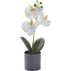 RemixAst Affascinante fiore di orchidea, perfetto per la casa o l'ufficio, aggiunge un tocco di natura ovunque (bianco)