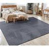 Paco Home Tappeto Salotto Moderno Soggiorno Pelo Corto Motivo Scandinavo Motivo Boho Motivo Geometrico, Dimensione:160x220 cm, Colore:Antracite 4