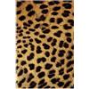 Tappeti Design Tappeti Salotto Grandi Rettangolare 70 X 140 CMstampa leopardata alla moda Grande, Antiscivolo, Lavabile, Cameretta dei Bambini, Soggiorno 70x140cm