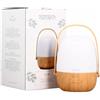 artigiano Nasoterapia Diffusore ad Ultrasuoni con Luce a Led Elm