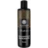 ALMAGREEN COSMETICA AL NATURALE Almagreen Shampoo Anticaduta Uomo, Formula Potente per Capelli Forti e Sani, Rivitalizzante con Ginseng Avena e Pantenolo, 250ml