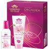 GIARDINO DEI SENSI Confezione Regalo Giardino dei Sensi - Cofanetto con Profumo 100ml e Crema Corpo 100ml (Orchidea Romantica Phoenix)