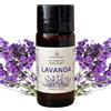 Doni Bomboniere Natura Italia Olio Essenziale Lavanda 100% Puro Made in Italy Olio Naturale per Diffusori Umidificatori Aromaterapia Uso Terapeutico - 10ml