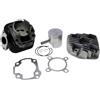 Dr. Hessel's KT00087 GRUPPO TERMICO DR EVO 70CC D.47 MALAGUTI F10 WAP 50 2T euro 2 (QJ*CMA03C*) SP.10 GHISA
