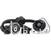 INA 530 0624 30 Kit cinghia distribuzione pompa acqua 30 mm con guarnizione Compatibilità con OPEL ZAFIRA B A05 Astra H Hatchback A04 Astra H GTC A04, FIAT GRANDE PUNTO 199, ALFA ROMEO