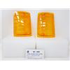 Bosatta COPPIA GEMME FRECCE ANTERIORI APE TMP 602/703/DIESEL BOSATTA RP480