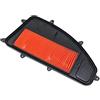 LG-MOTORS POWER ENGINEERING FA70091-100603760 - 403652680 - FILTRO ARIA SIMIL OEM COMPATIBILE CON AGILITY 300 I ABS EURO4 2019-2020 X-TOWN 300 ABS 2016-2019 X-TOWN 300 CITY EURO4 2020