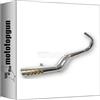 MOTOTOPGUN giannelli 33005 scarico completo race compatibile con aprilia ae 50 red rose classic 1991 1992 1993 1994 1995 1996 1997 mototopgun