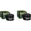 DB PARTS Set di 2 filtri olio compatibili con MALAGUTI 500 Spidermax GT 2004 2005 2006 2007 2008 2009 2010 2011 2012