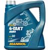 MANNOL Agro a 4 Tempi SAE 30 Api SG, 4 Litri