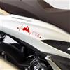 Generico Kit 2 adesivi Passione Cuore compatibili con Piaggio Beverly 400 abs decal grafiche carene scooter Cod. 2034 (032 Rosso)