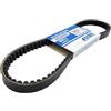 POLINI CINGHIA POLINI VARIATORE MOJITO GILERA RUNNER VESPA SPRINT PRIMAVERA NRG MC3 STALKER TYPHOON ICE STORM SR 248.029