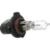 Osram 9005XS Lampada Auto, Alogena