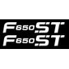 labelbike - 2 Adesivi 3D Moto Scritta F650ST in Resina compatibile con BMW F 650 ST