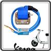 Piaggio Bobina Accensione Esterna AT per Piaggio Bravo, Ciao, Grillo - Vespa 50, 50 Special, 125 ET3 Primavera, PX 125-150 Con Puntine - APE 50 Fino al 1985