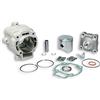 MALOSSI SPA KIT CILINDRO GRUPPO TERMICO MALOSSI Ø65 RUNNER FXR 180 2T H20-HEXAGON 2T