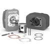 generic GRUPPO TERMICO Ø 46,5 IN GHISA CON SPINOTTO Ø 12 PER PIAGGIO CIAO - CIAO PX 50 CC 3118735