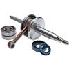 Generico KIT ALBERO MOTORE CON CUSCINETTI E PARAOLI COMPLETO DR MINARELLI ORIZZONTALE 50CC IM07059