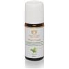 Maharishi Ayurveda Prandhara - Olio di erbe ayurvedico con menta, olio ayurveda Allrounder, ideale per l'uso quotidiano, supporta in caso di malessere generale, flaconcini di vetro da 10 ml