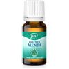 Bizzico OLIO ESSENZIALE JUST (MENTA)