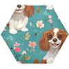 Amooorous Cartoon Cute Cavalier King Spaniel Dogs Turquoise_2 UV50+ ombrello automatico sotto il sole antivento resistente al sole impermeabile riparabile Premium Grip, Adatto per auto e zaino auto