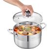 VEVOR Pentola in Acciaio Inox da 7,6 Litri, Casseruola in Acciaio Inox Ø 240x140 mm con Coperchio in Vetro per Cottura da Cucina, Pentola di Brodo, Pasta, Zuppa, Catering Ristorante, Senza PFOA PFAS