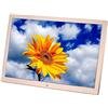 BAIYUN Cornice for foto digitale Cabina USB/TF da 17 pollici Shangchao Scheda di memoria for lettore pubblicitario Cornice for foto digitale, Display HD con telecomando (Color : Gold)