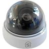 Setik - Telecamera di sicurezza Finta di sorveglianza dome esterno IR LED - DMDUMMY