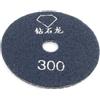 Aexit 3.9' 'Diameter Grit 300 Tile Stone Wet Polisher Grinder Diamond Pad lucidante ID: 935960